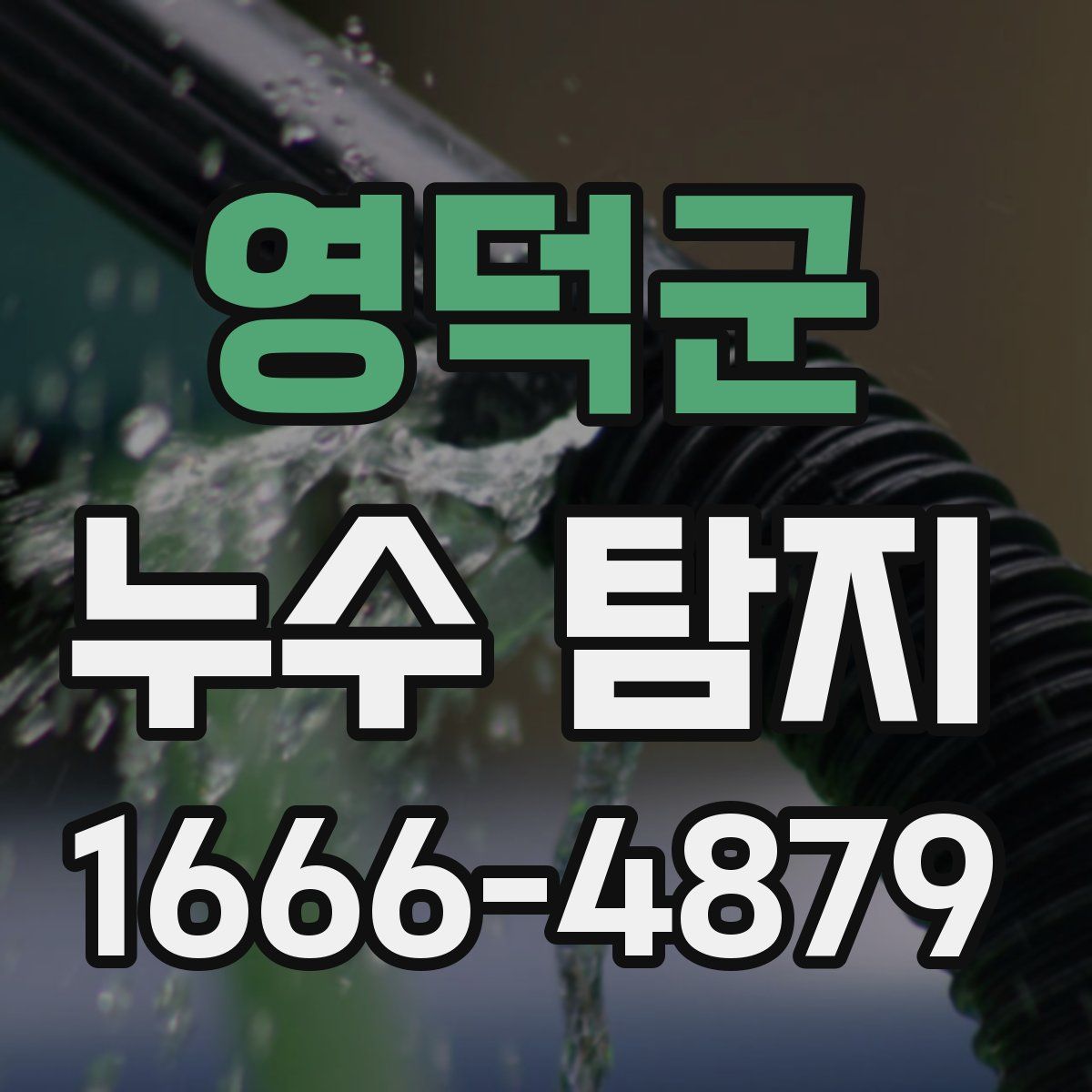 영덕군 누수 탐지