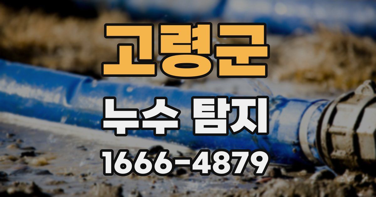 고령군 누수 탐지