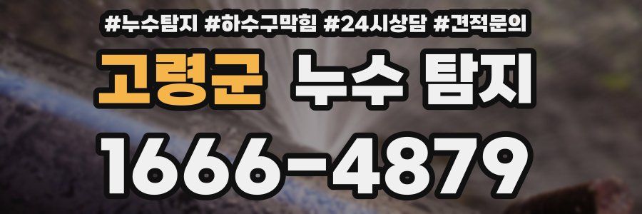 고령군 누수 탐지