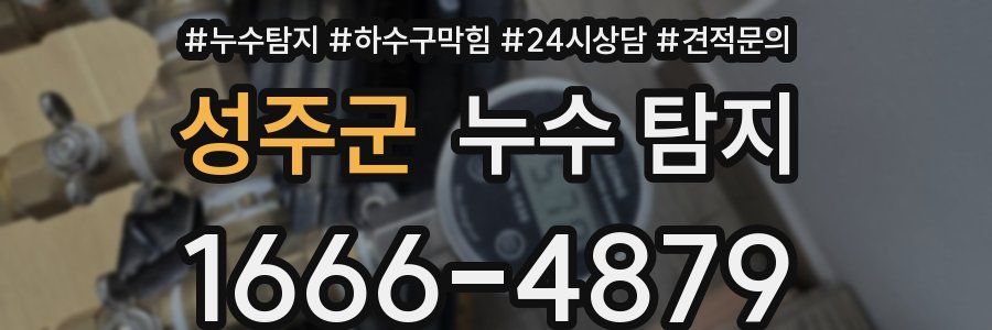 성주군 누수 탐지