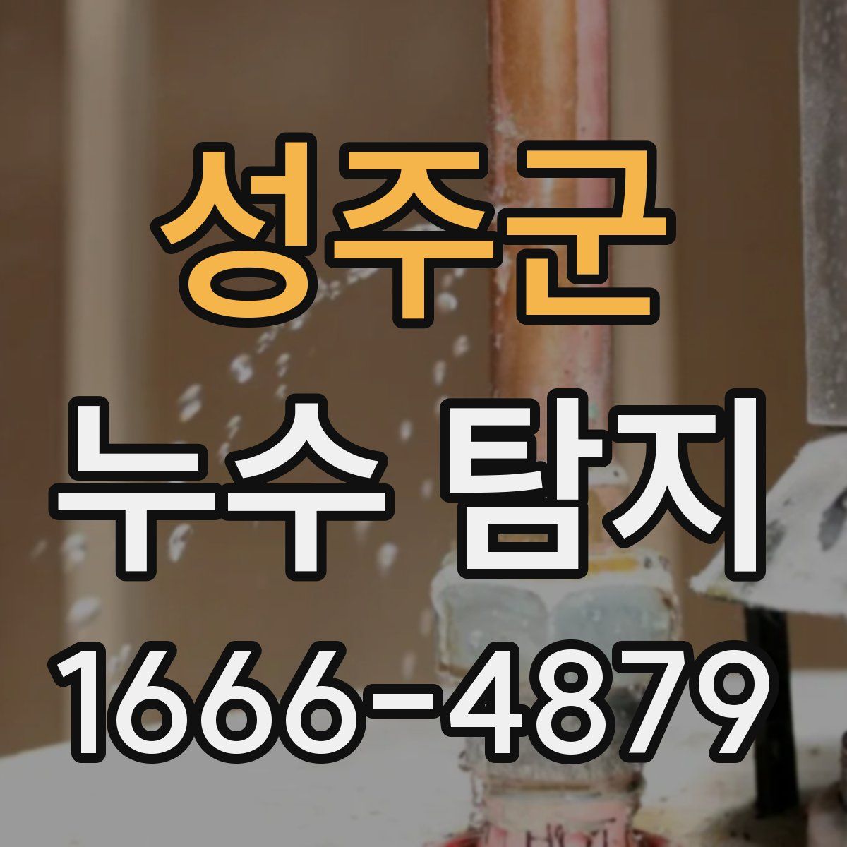 성주군 누수 탐지