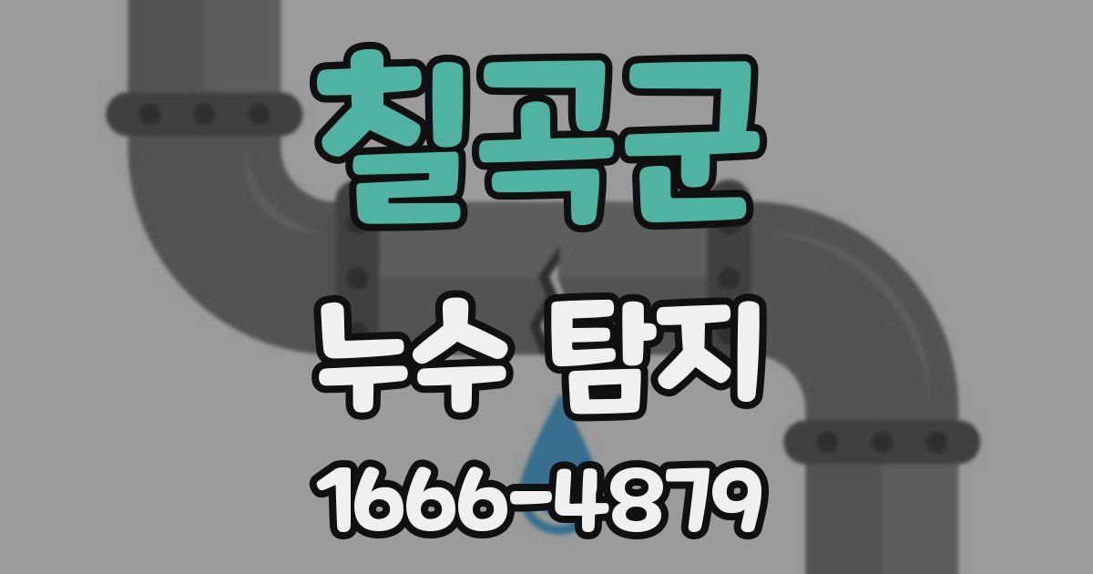 칠곡군 누수 탐지