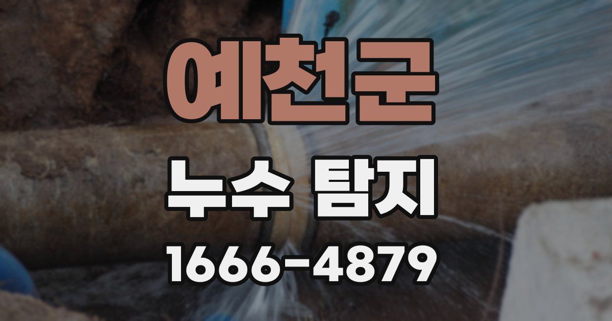 예천군 누수 탐지