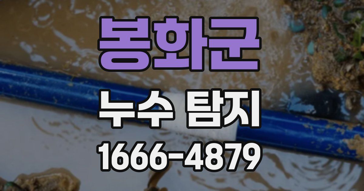 봉화군 누수 탐지