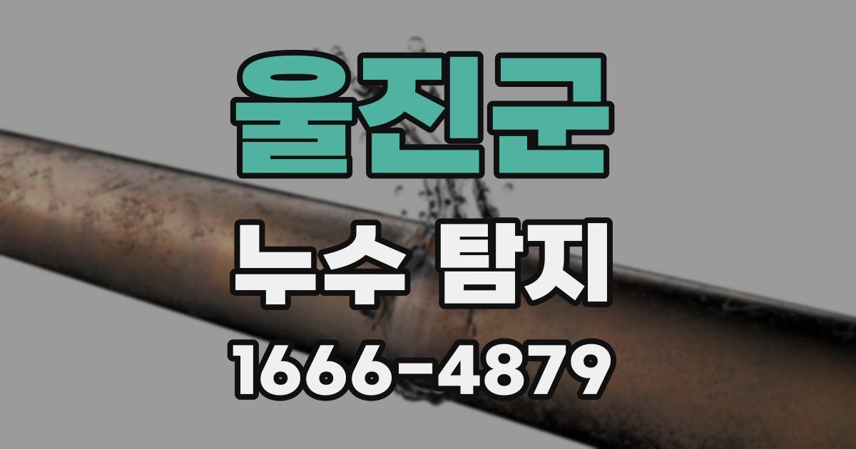 울진군 누수 탐지