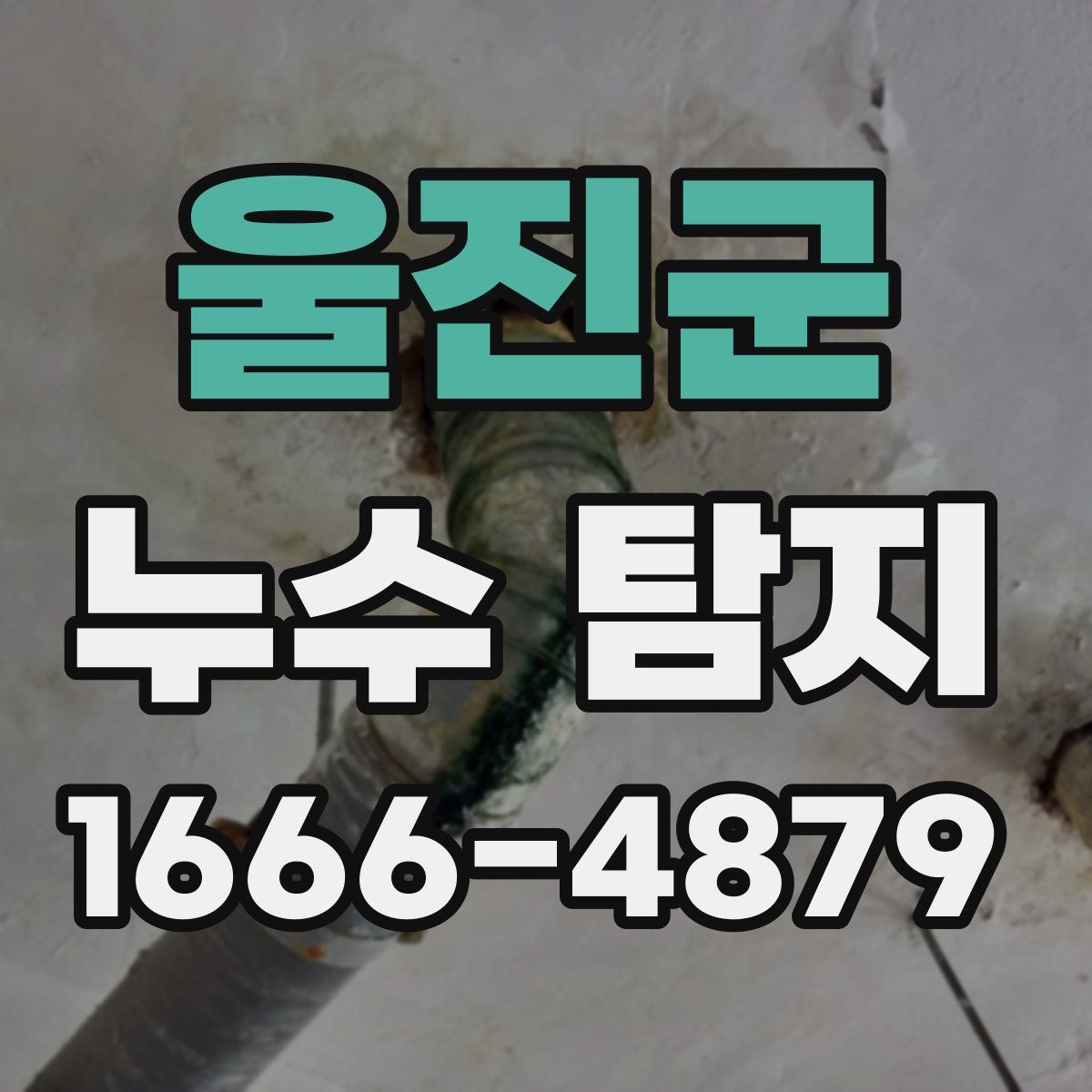 울진군 누수 탐지