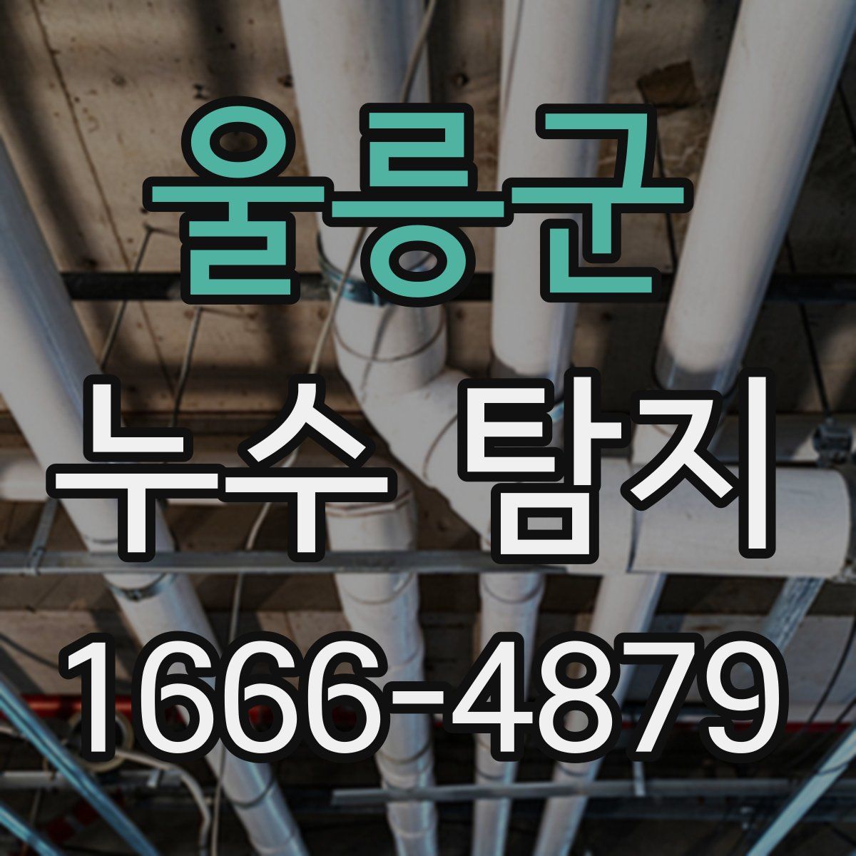 울릉군 누수 탐지