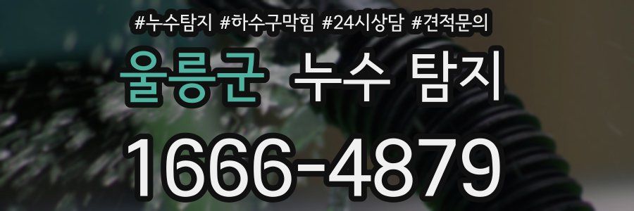울릉군 누수 탐지