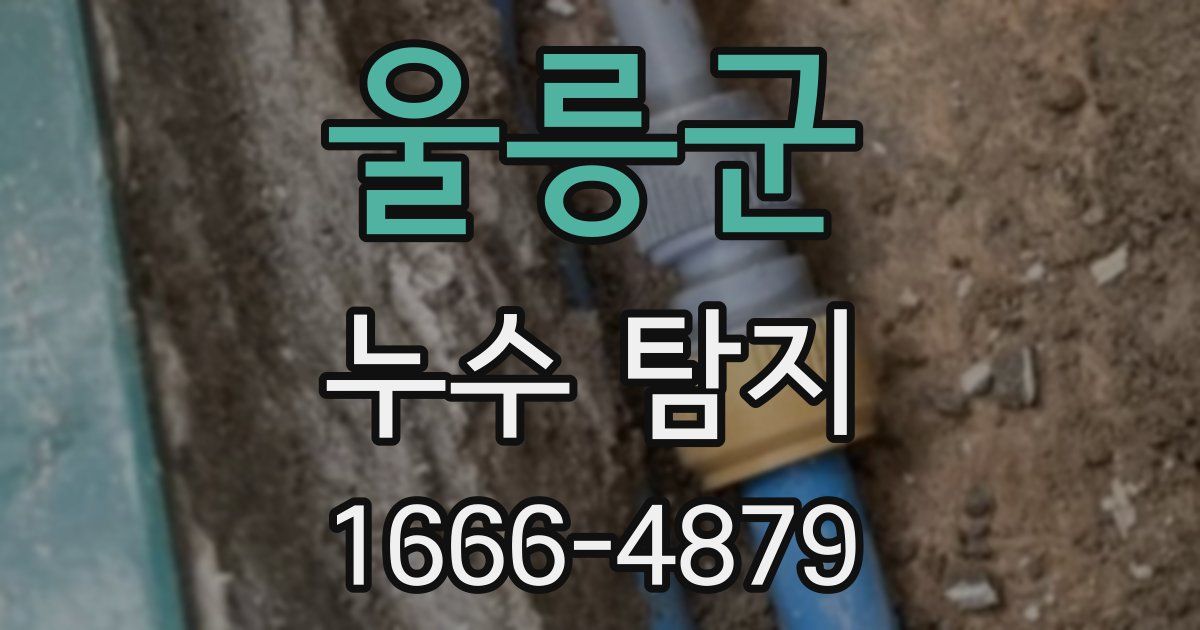 울릉군 누수 탐지