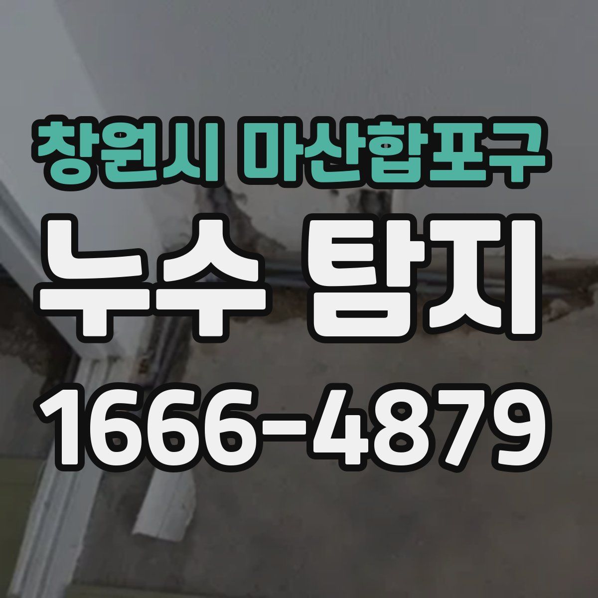 창원시 마산합포구 누수 탐지