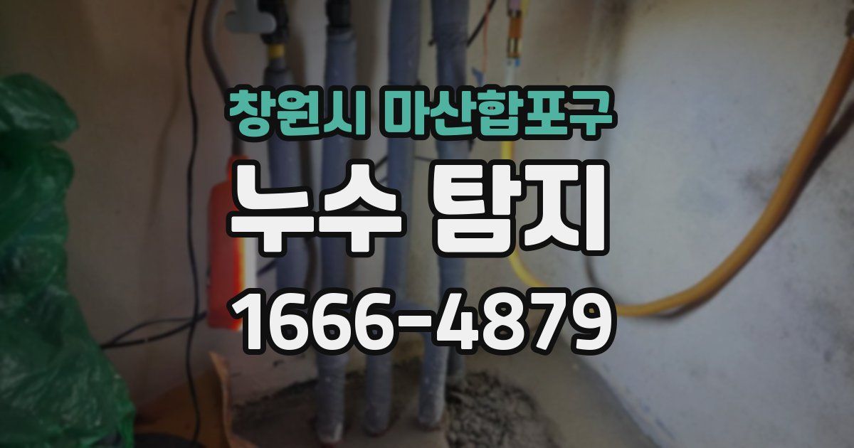 창원시 마산합포구 누수 탐지