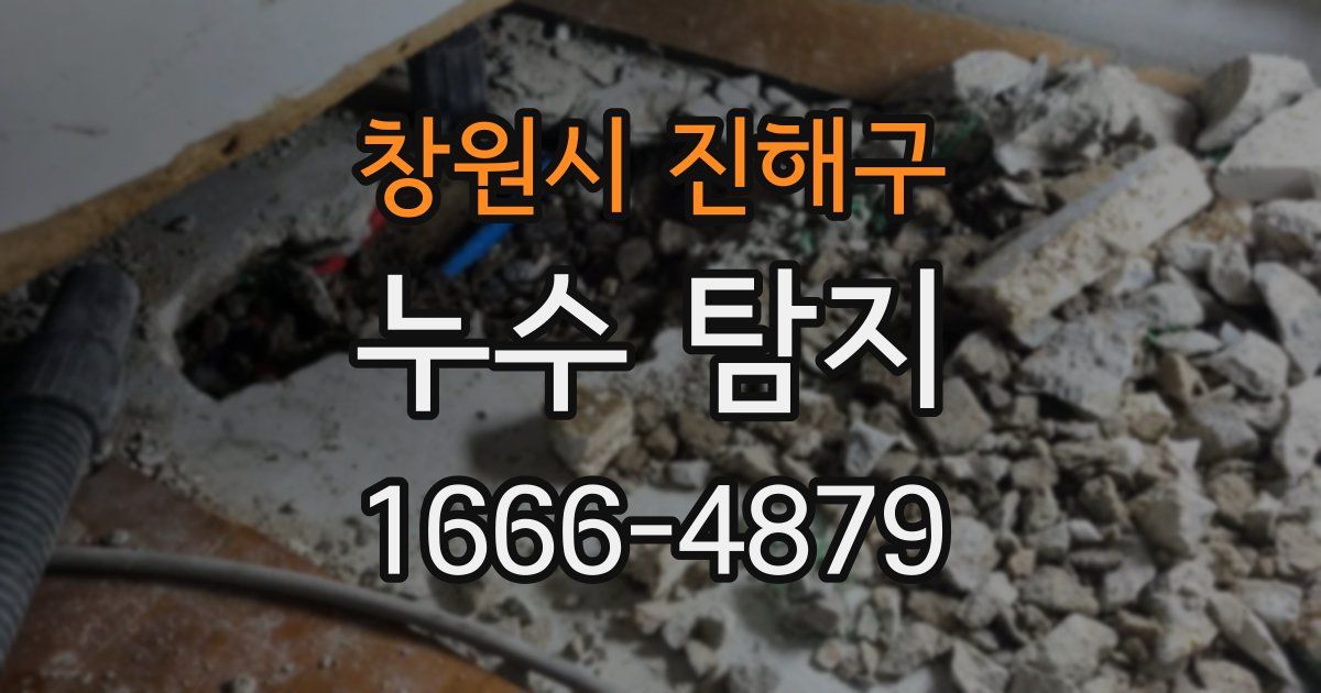 창원시 진해구 누수 탐지