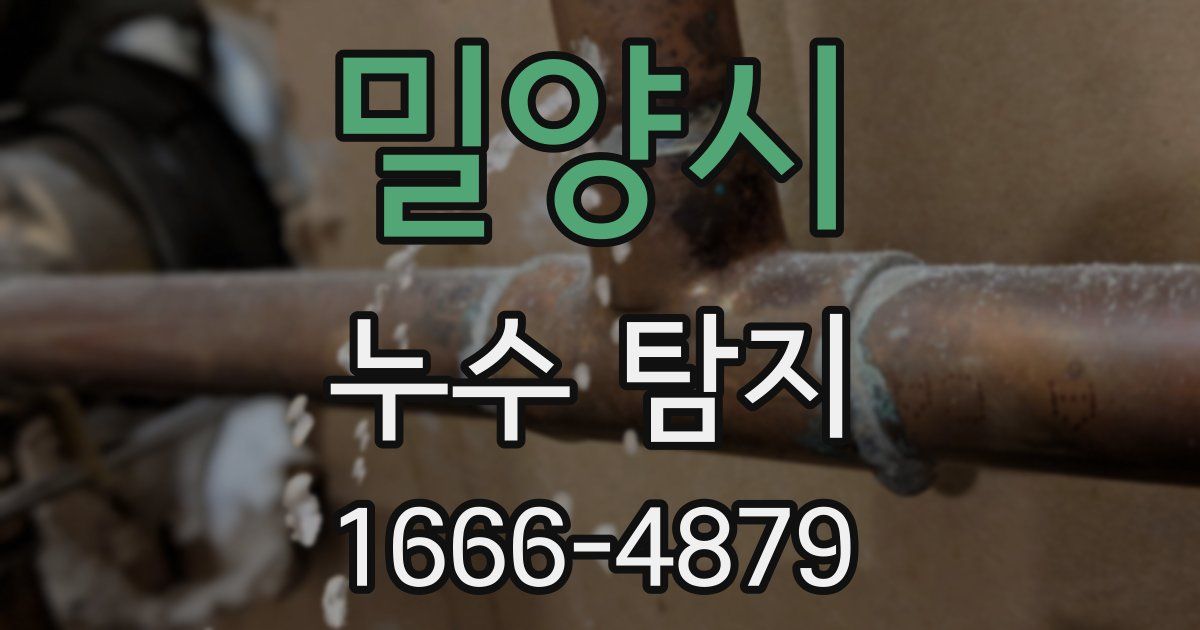 밀양시 누수 탐지