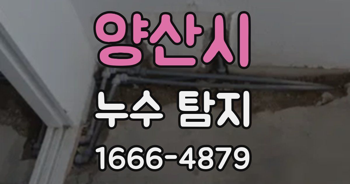 양산시 누수 탐지