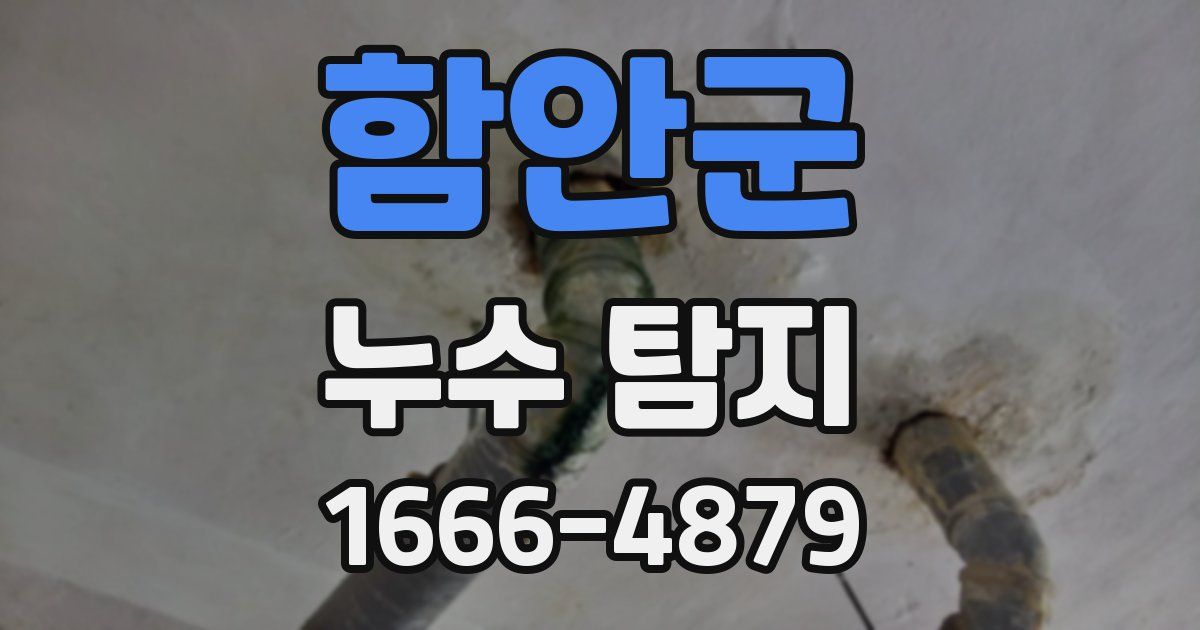 함안군 누수 탐지