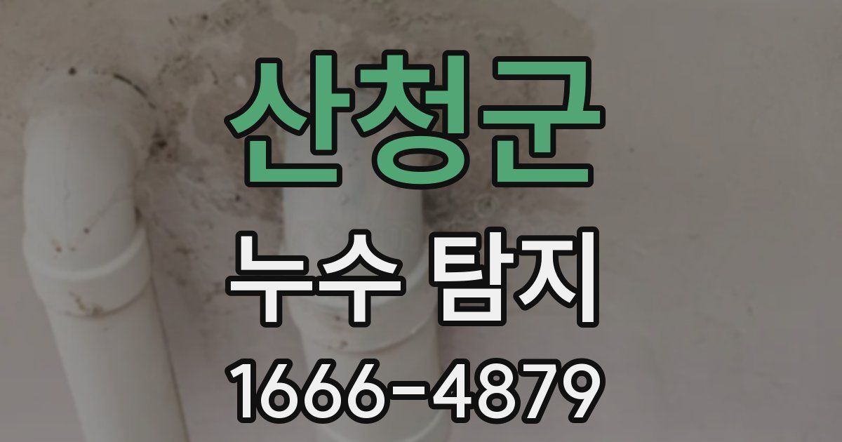 산청군 누수 탐지