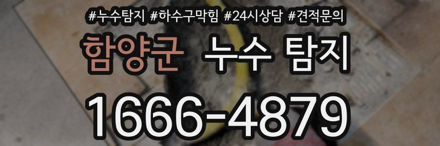 함양군 누수 탐지