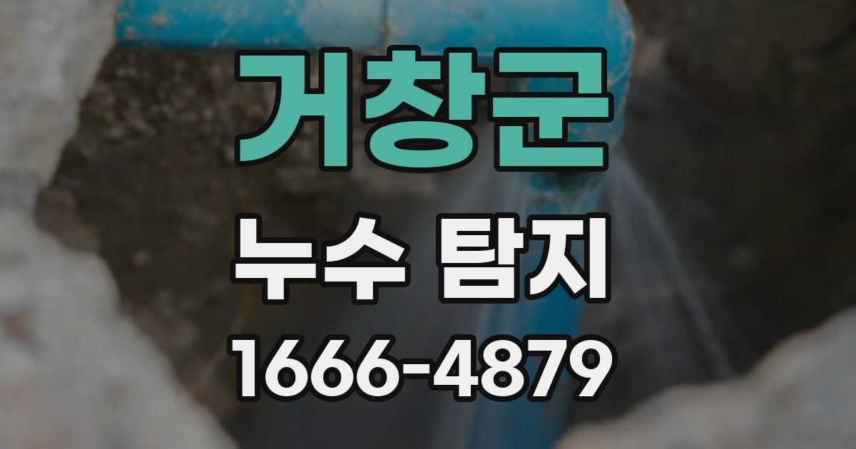 거창군 누수 탐지