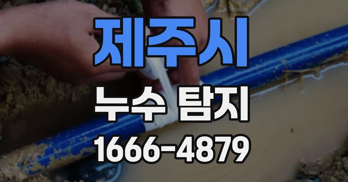제주시 누수 탐지