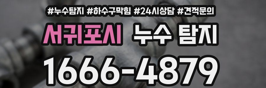 서귀포시 누수 탐지