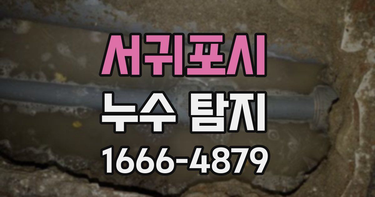 서귀포시 누수 탐지