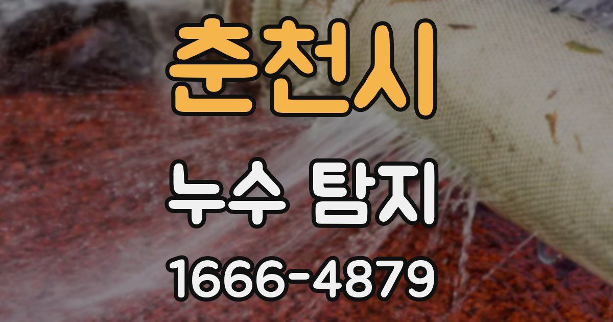 춘천시 누수 탐지