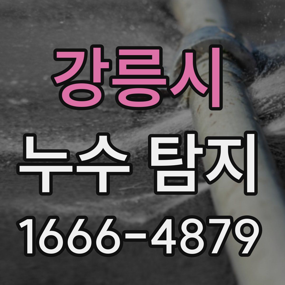 강릉시 누수 탐지