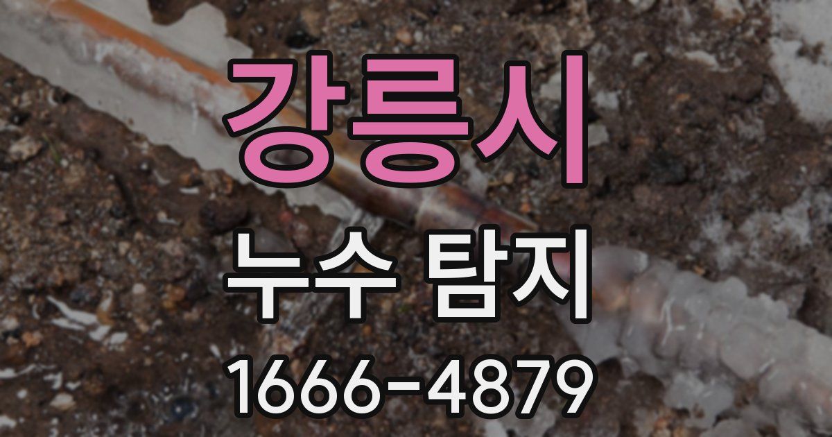 강릉시 누수 탐지