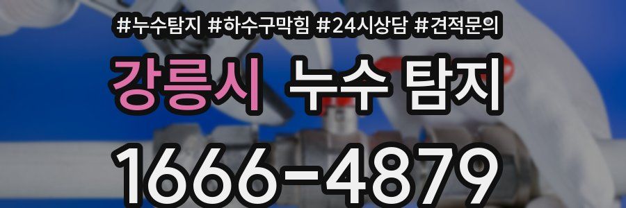 강릉시 누수 탐지