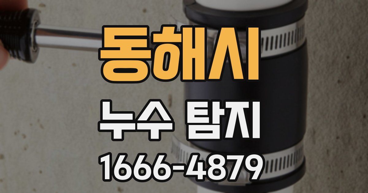 동해시 누수 탐지