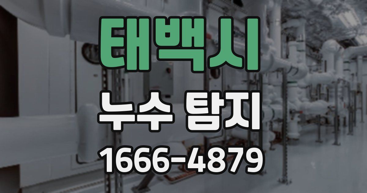태백시 누수 탐지