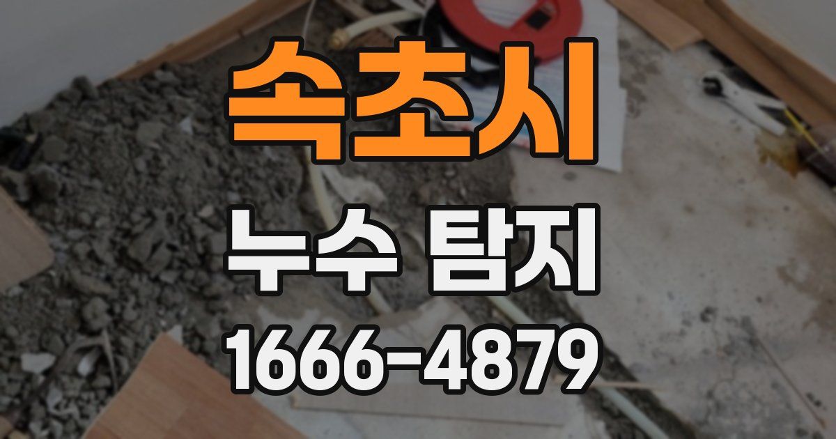 속초시 누수 탐지