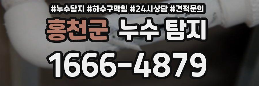 홍천군 누수 탐지
