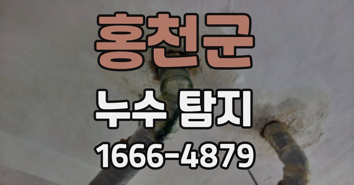 홍천군 누수 탐지