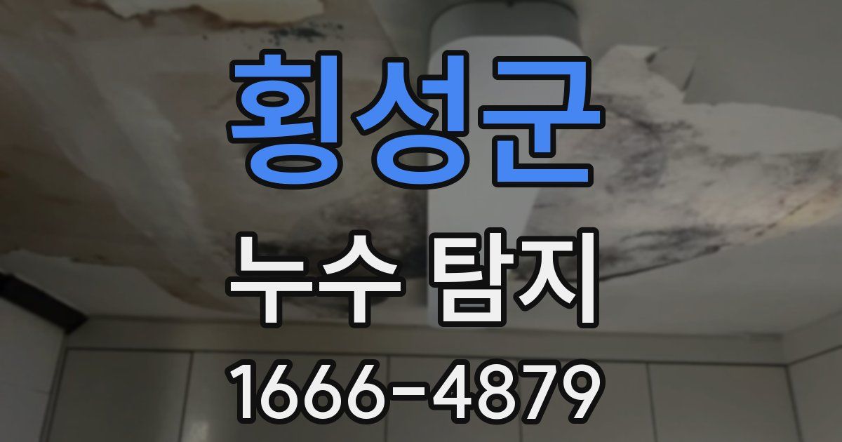 횡성군 누수 탐지