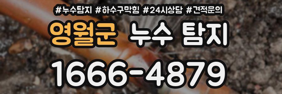 영월군 누수 탐지