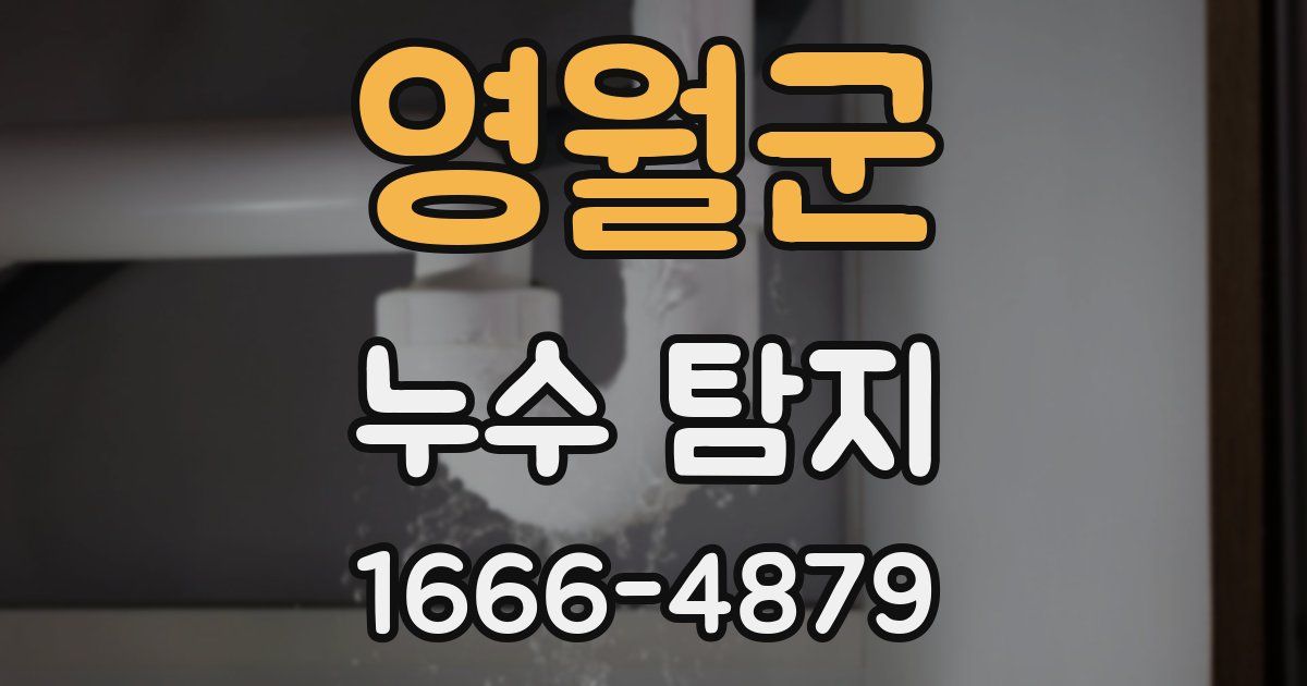 영월군 누수 탐지
