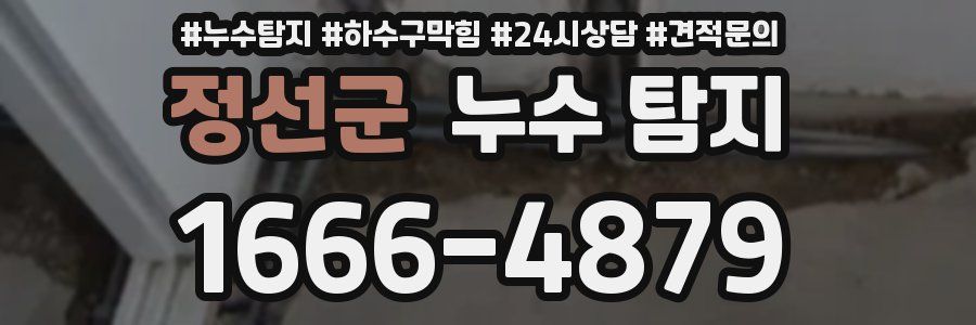 정선군 누수 탐지