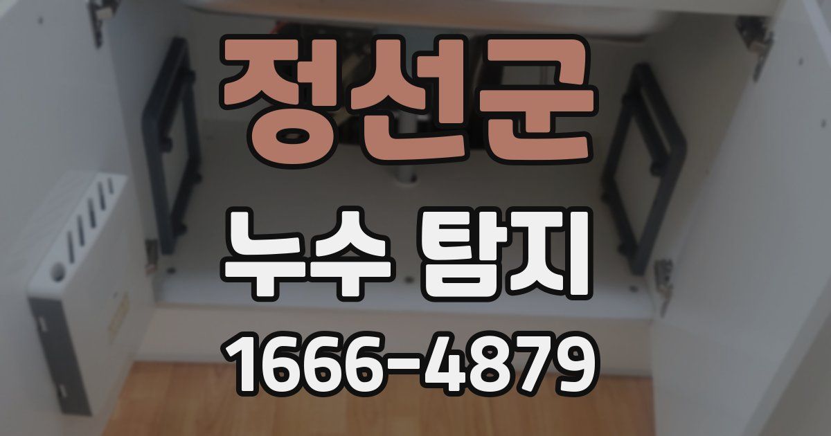 정선군 누수 탐지