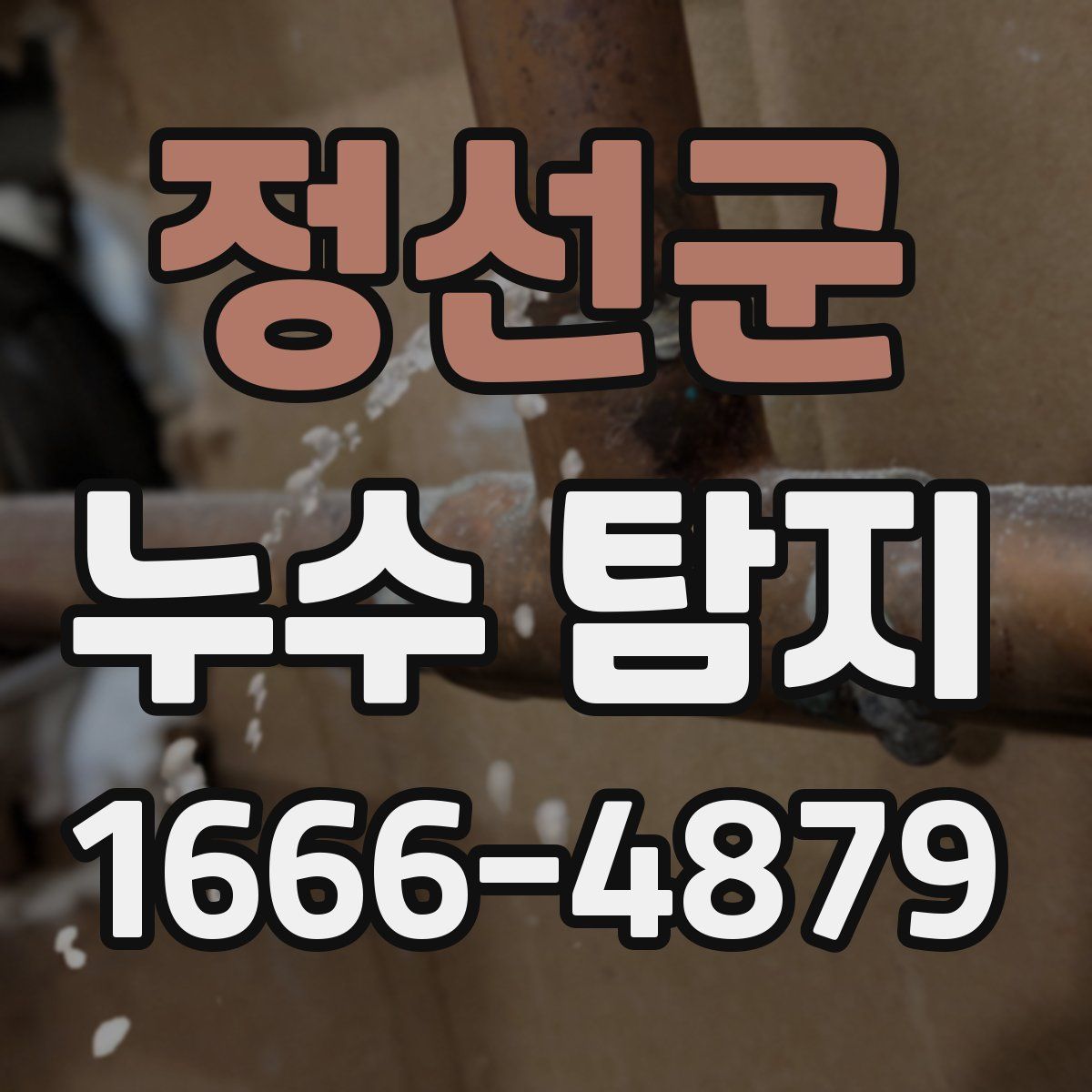 정선군 누수 탐지