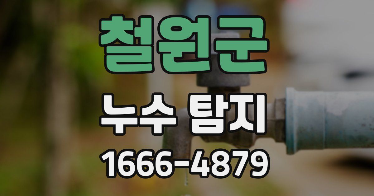 철원군 누수 탐지