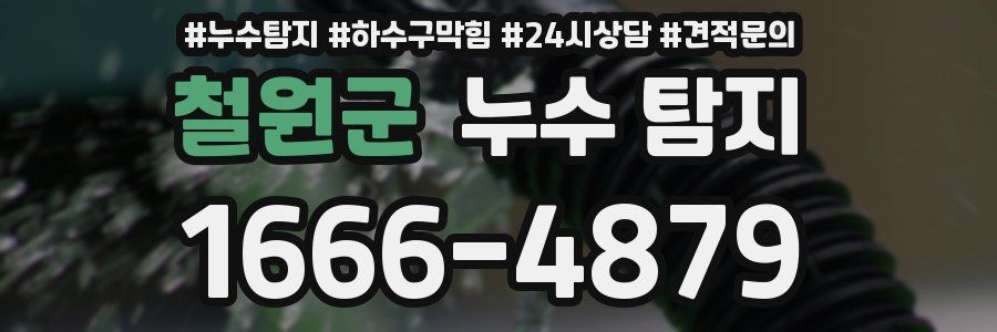 철원군 누수 탐지