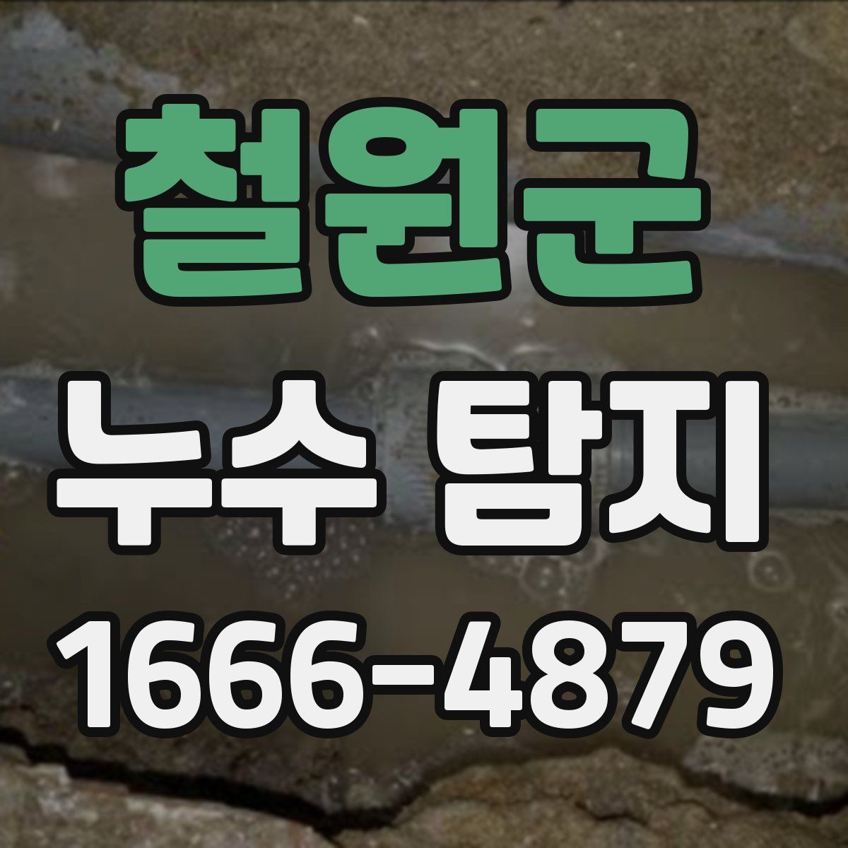 철원군 누수 탐지