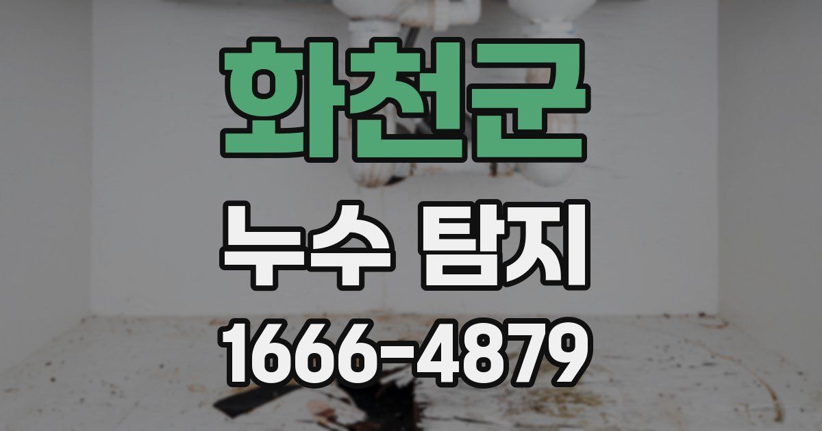 화천군 누수 탐지