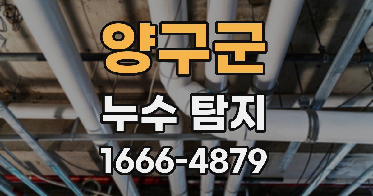 양구군 누수 탐지