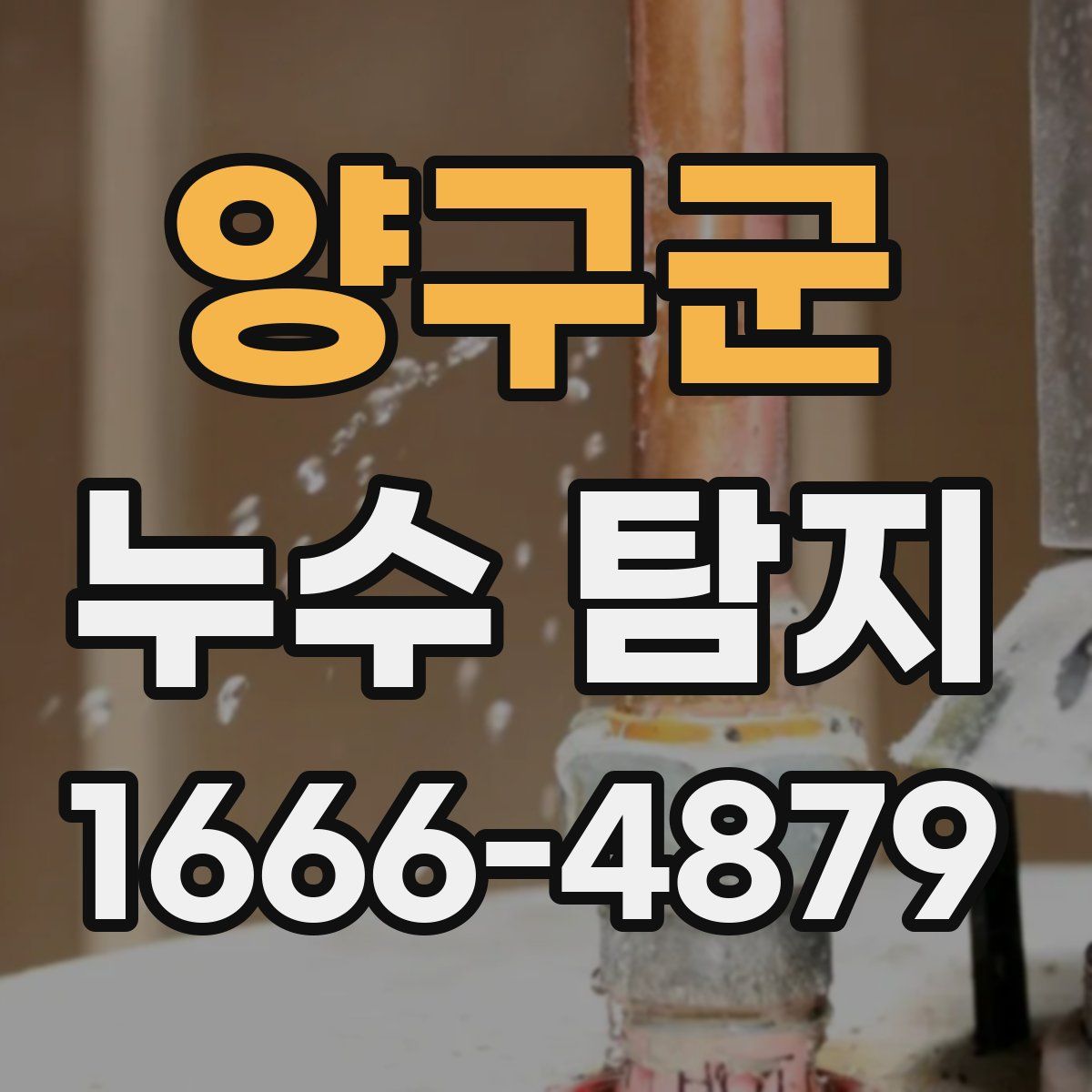 양구군 누수 탐지