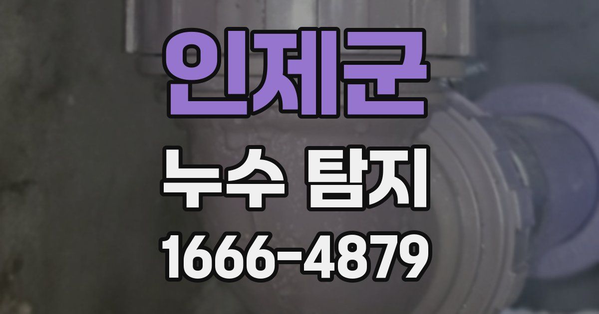 인제군 누수 탐지