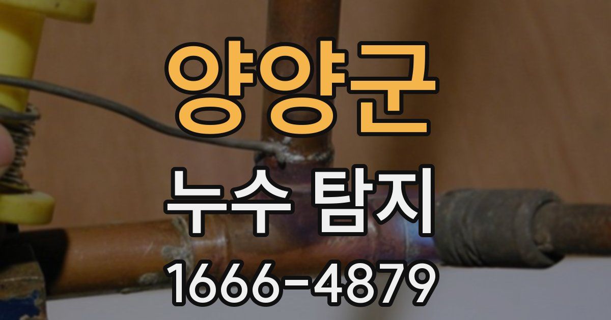 양양군 누수 탐지