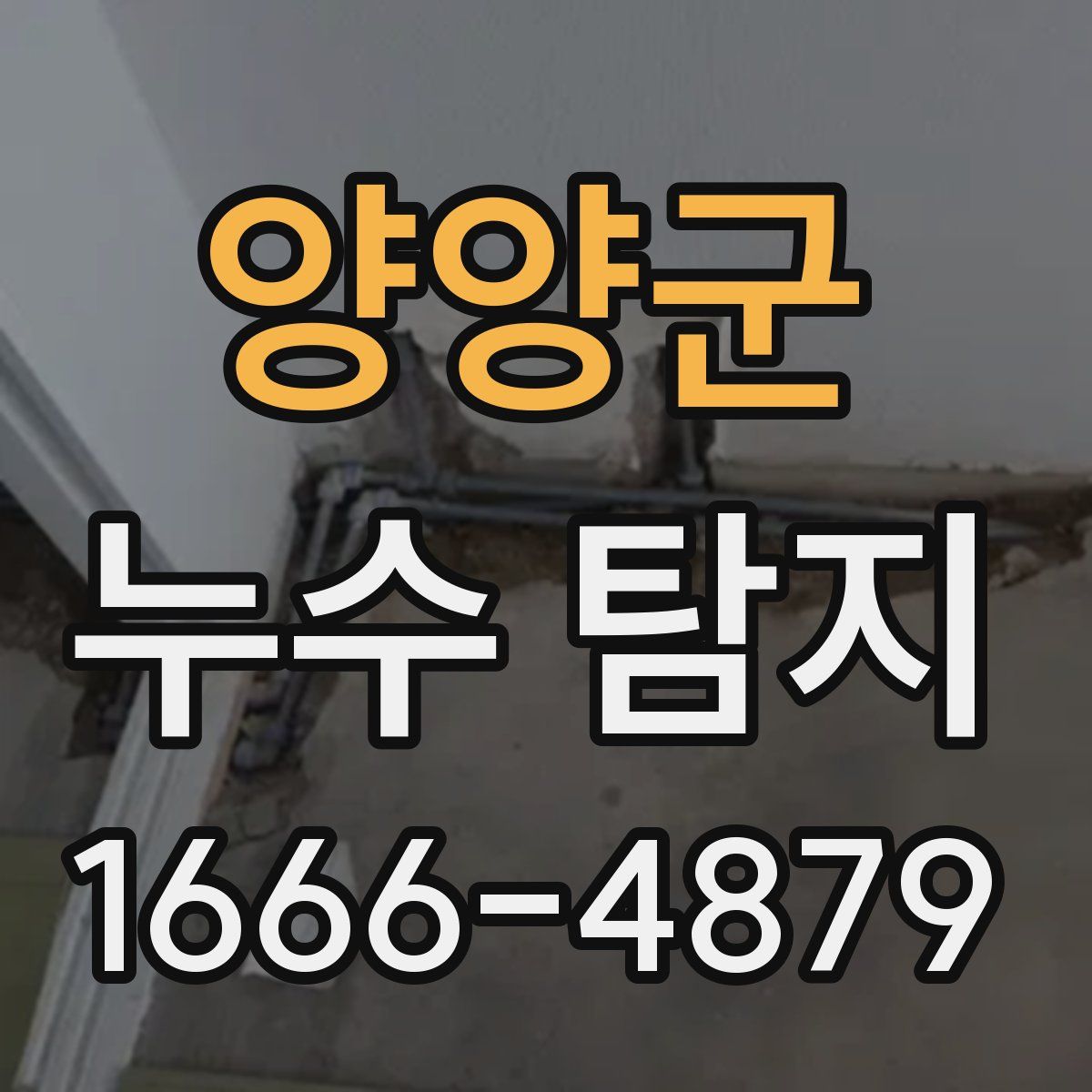 양양군 누수 탐지