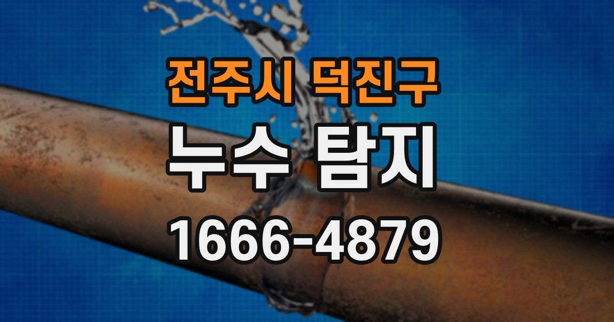 전주시 덕진구 누수 탐지